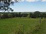 Tinonee-orchids-II 001